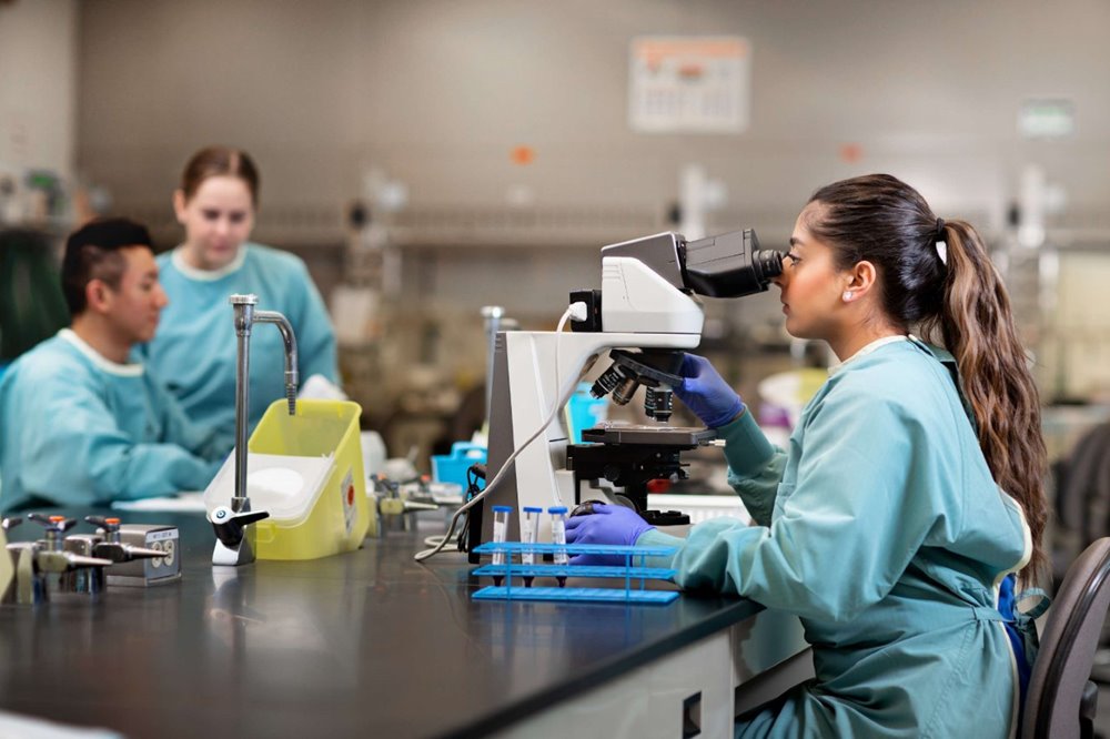 Laboratory and XRay Technology Combined NAIT