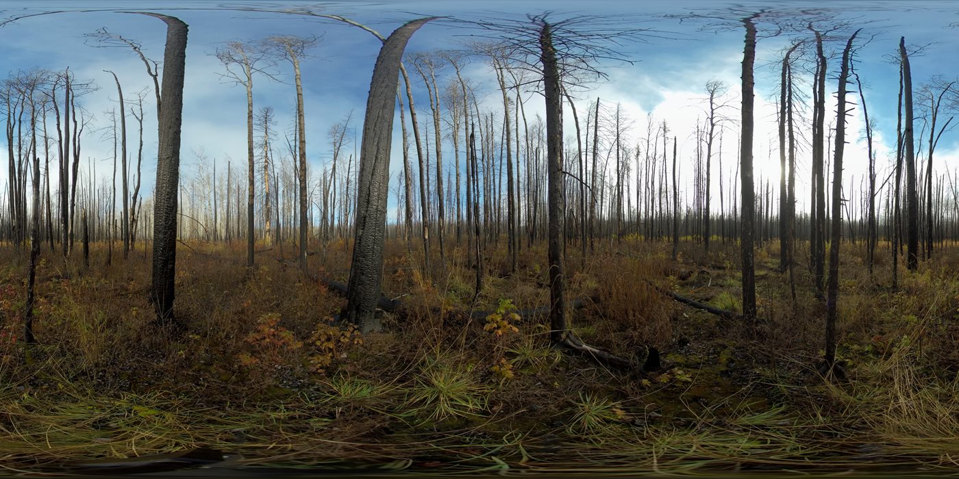 Prescribed burns and wildfires in the boreal forest region