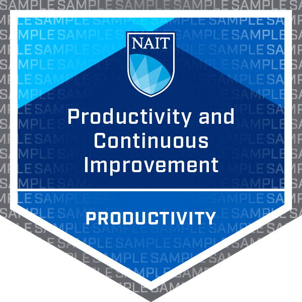 Productivity and Continuous Improvement Badge