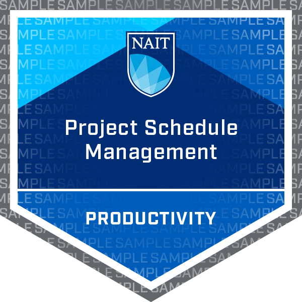 Project Schedule Management Badge