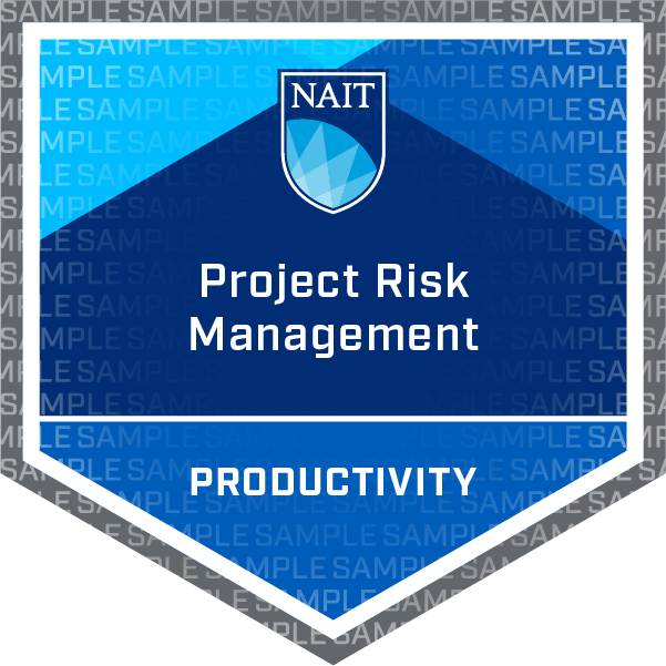 Project Risk Management Badge