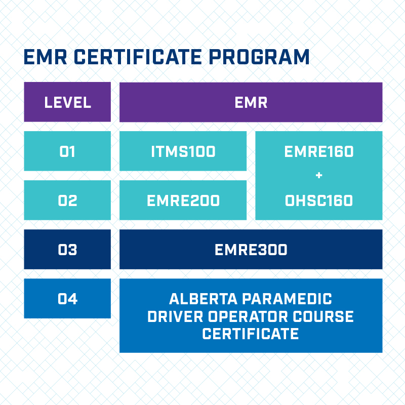 EMR Certificate Program graphic