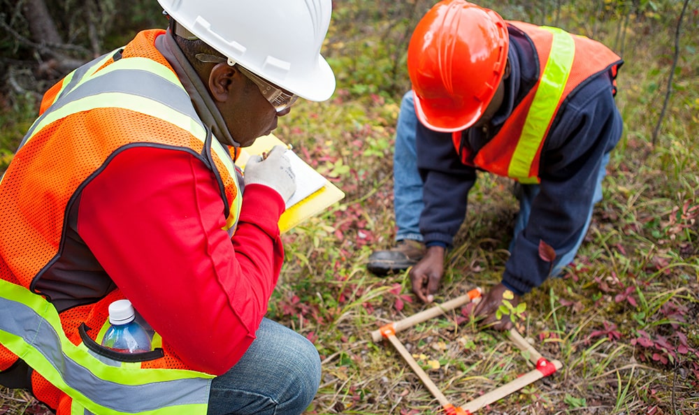 Forest Technology NAIT