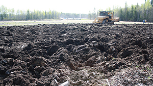 boreal reclamation soil