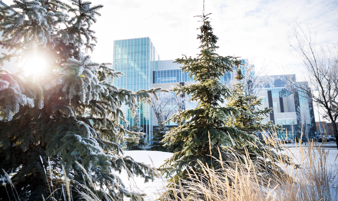 Facebook Share Image Preview