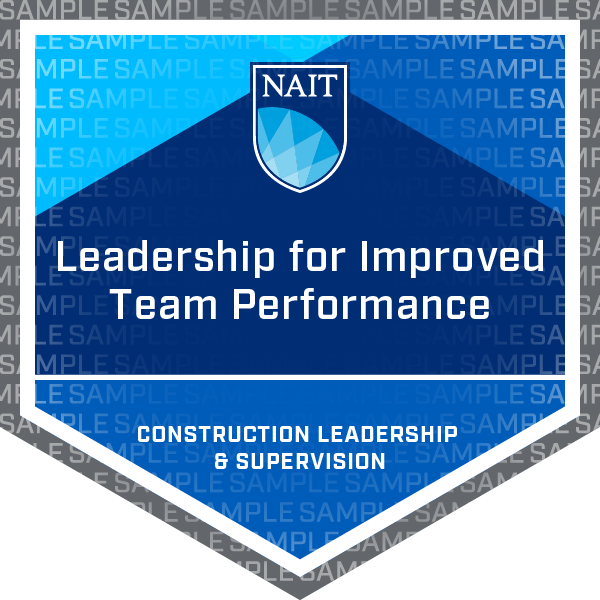 Leadership for Improved Team Performance
