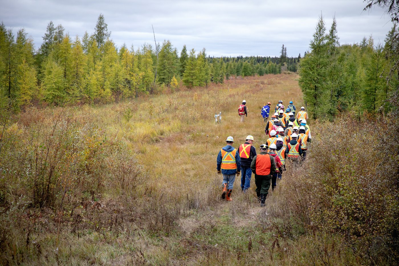 A group of people wearing reflective vests walk through a field of grass