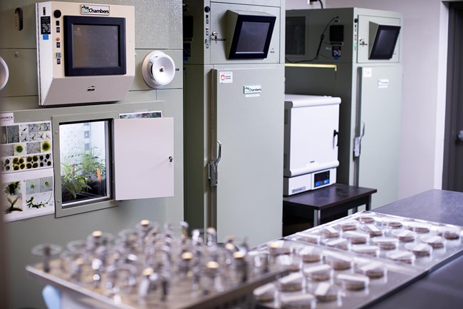 Clean Laboratory - NAIT Applied Research